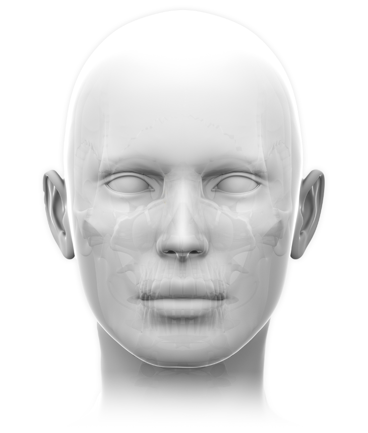 head1